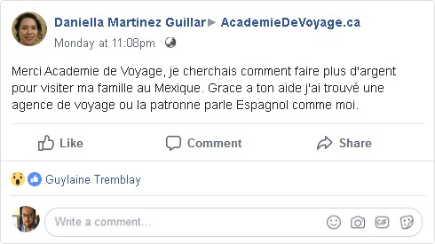 cours agent de voyage en ligne